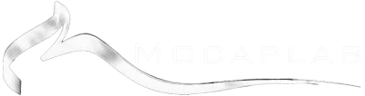 MoCapLab